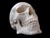 The skull
