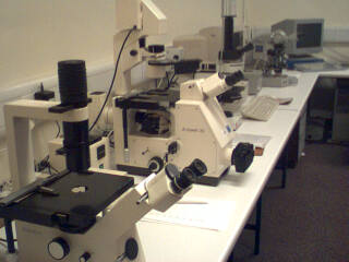 2003-01-12-Microscopes.jpg