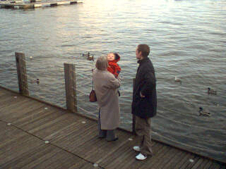 2004-02-23-Ducks.jpg