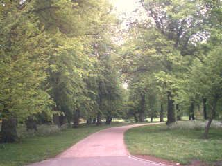 2004-05-11-Path2.jpg