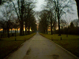 2004-12-02-Pontcanna_dawn.jpg