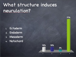 Neuroembryology Quiz-2