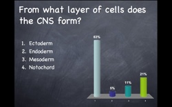 Cns