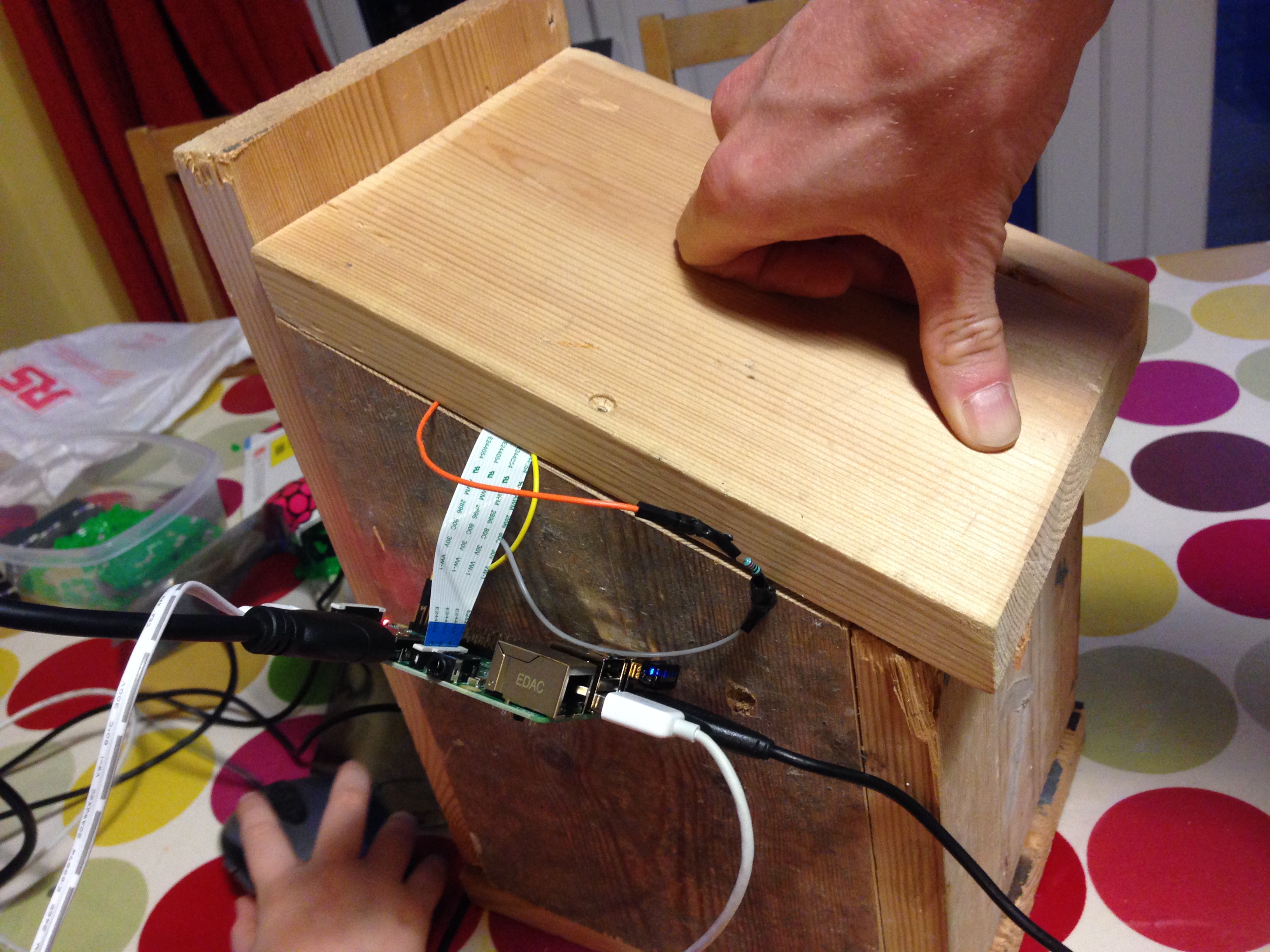 raspberry pi bird camera