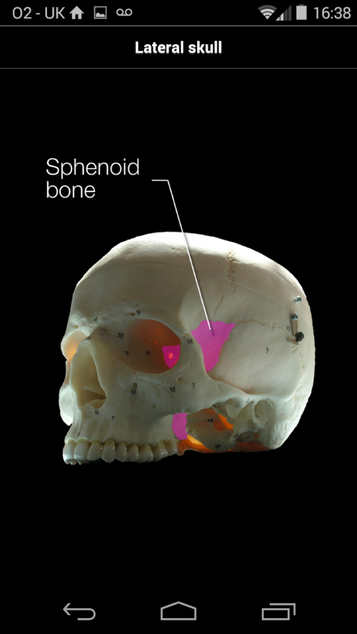Skull Osteology Android app