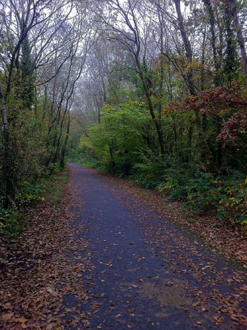 Autumn Cyclepath