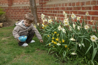 Egghunt Cheltenham Svw 12