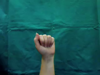 Hand Blooper 2