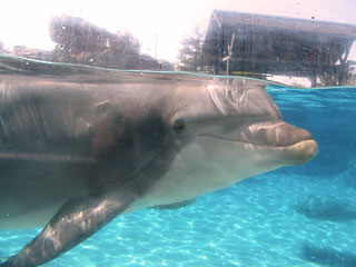 2006-01-08-San_Diego_SeaWorld.JPG