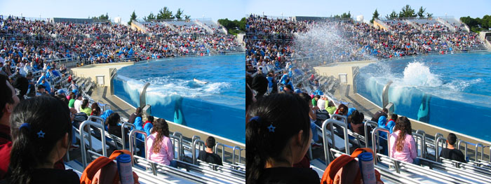 2006-01-08-San_Diego_SeaWorld.JPG