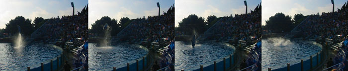 2006-01-08-San_Diego_SeaWorld.JPG