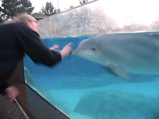 2006-01-08-San_Diego_SeaWorld.JPG