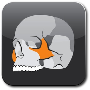 Skull App Icon 288Px