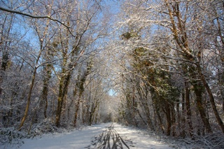 Snow Clynevalley Svw 23