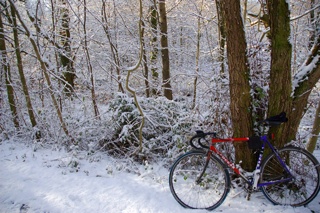 Snow Clynevalley Svw 29