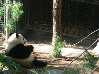 zoo_sandiego_svw_017.jpg