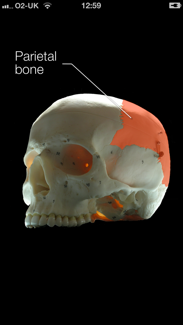 Skull app iPhone screenshot